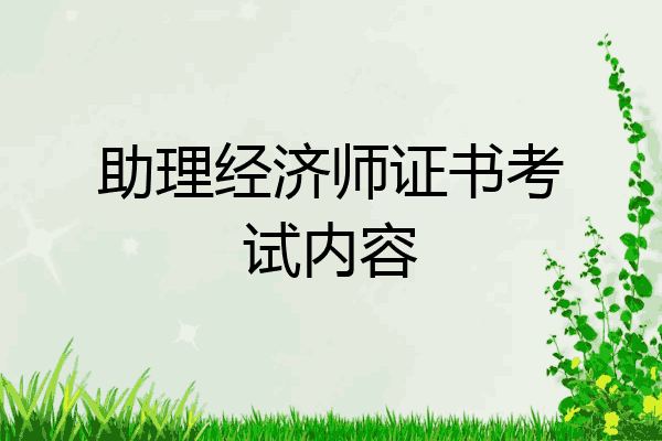 助理经济师证书考试内容