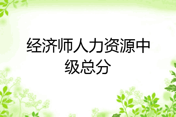 经济师人力资源中级总分