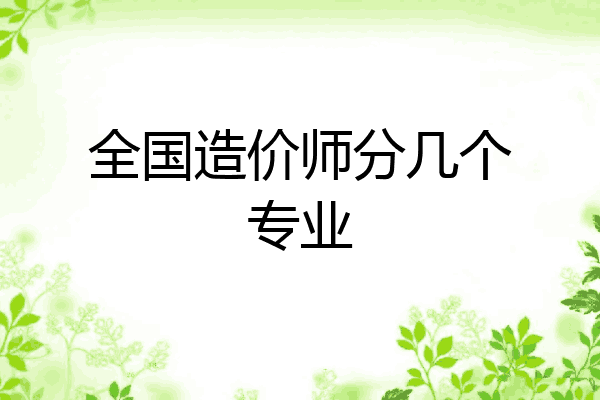 全国造价师分几个专业