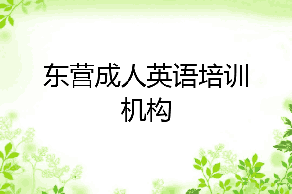 东营成人英语培训机构