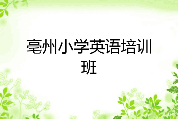 亳州小学英语培训班