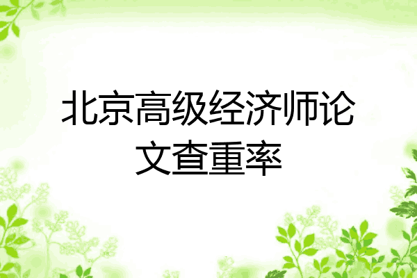 北京高级经济师论文查重率