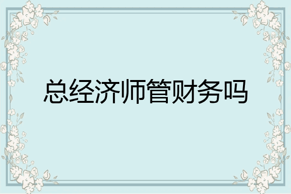 总经济师管财务吗