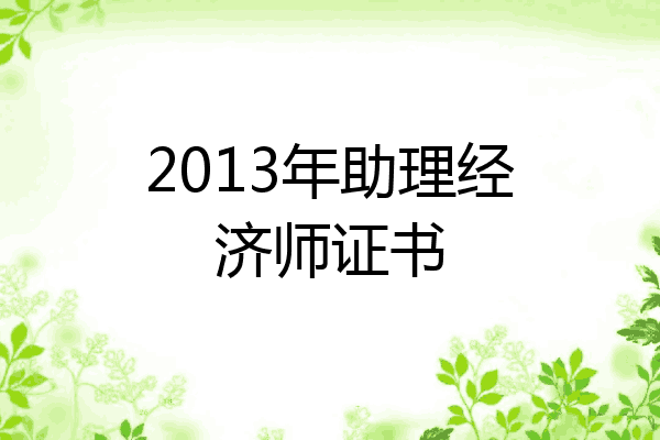 2013年助理经济师证书