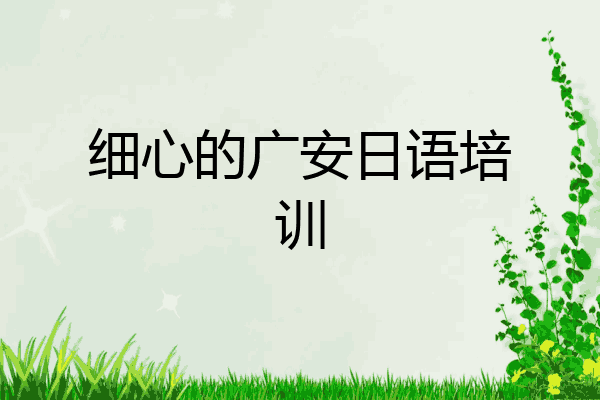 细心的广安日语培训