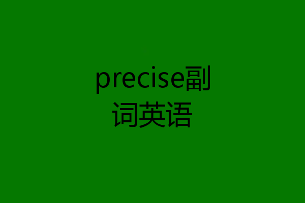 precise副词英语