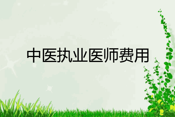 中医执业医师费用