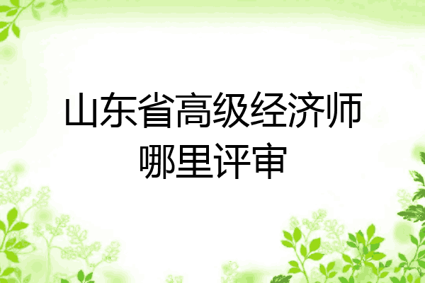 山东省高级经济师哪里评审