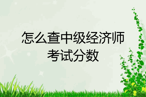 怎么查中级经济师考试分数