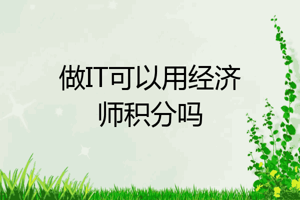 做IT可以用经济师积分吗