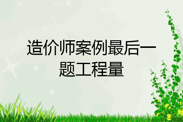 造价师案例最后一题工程量