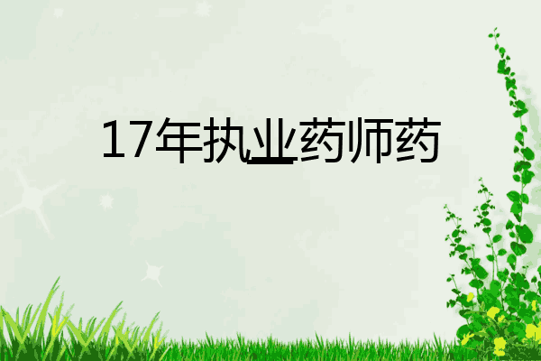 17年执业药师药一