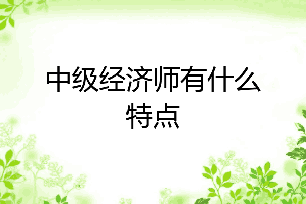 中级经济师有什么特点