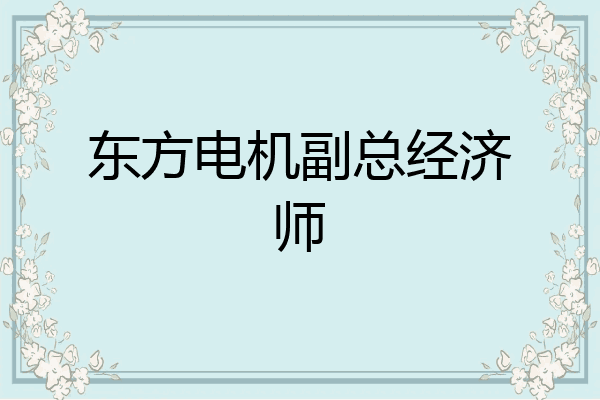 东方电机副总经济师
