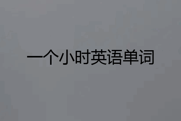 一个小时英语单词