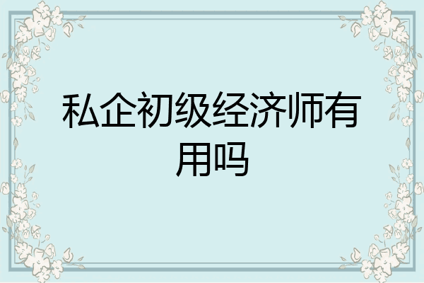 私企初级经济师有用吗