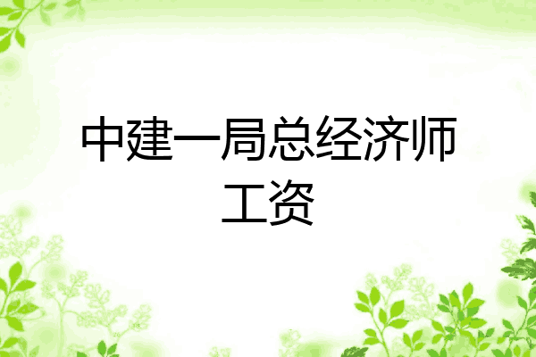 中建一局总经济师工资