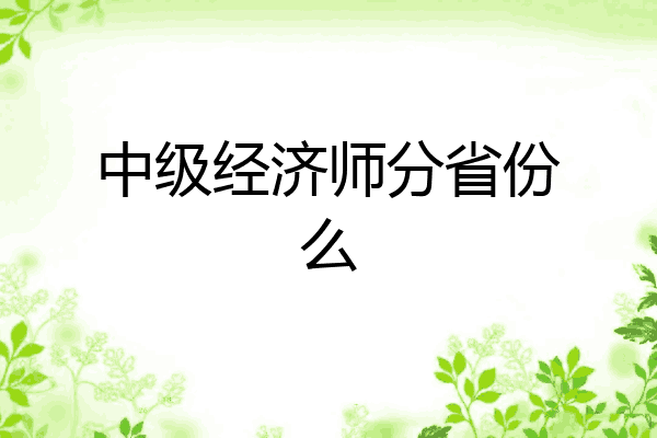 中级经济师分省份么