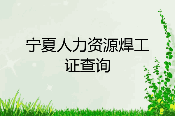 宁夏人力资源焊工证查询