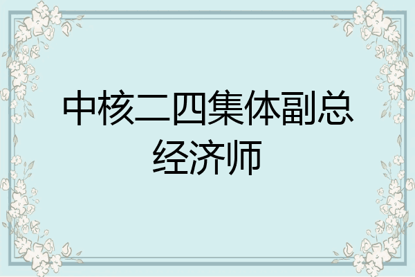 中核二四集体副总经济师