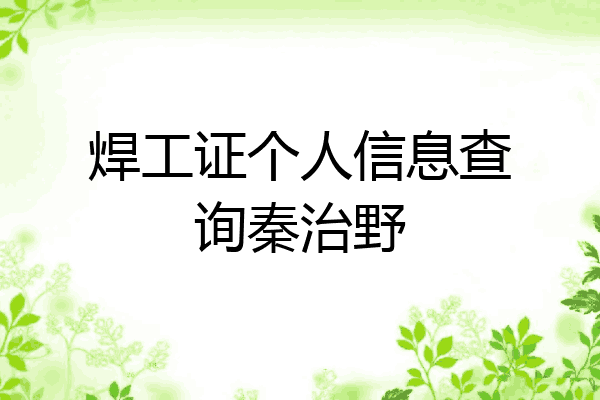 焊工证个人信息查询秦治野
