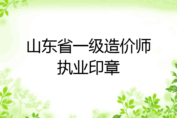 山东省一级造价师执业印章