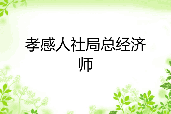 孝感人社局总经济师