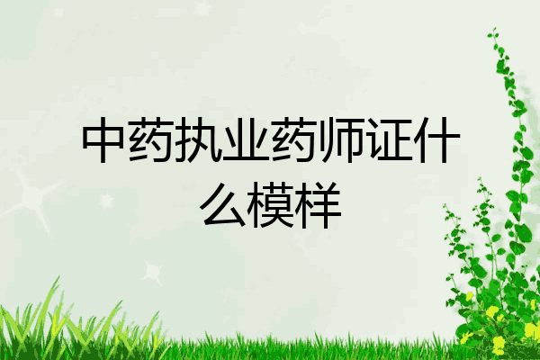 中药执业药师证什么模样