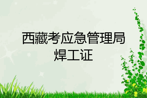 西藏考应急管理局焊工证
