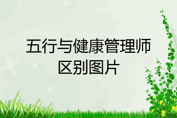 五行与健康管理师区别图片