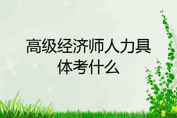 高级经济师人力具体考什么