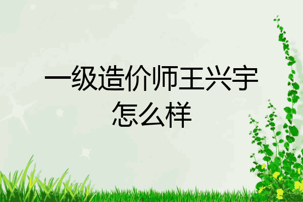 一级造价师王兴宇怎么样