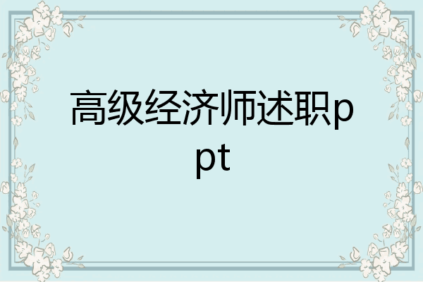 高级经济师述职ppt
