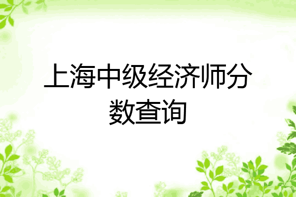 上海中级经济师分数查询