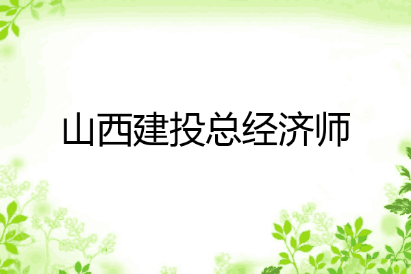 山西建投总经济师