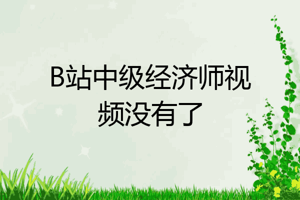 B站中级经济师视频没有了