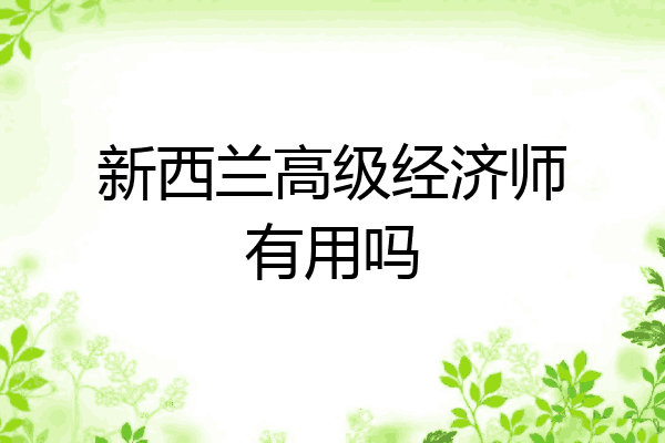 新西兰高级经济师有用吗