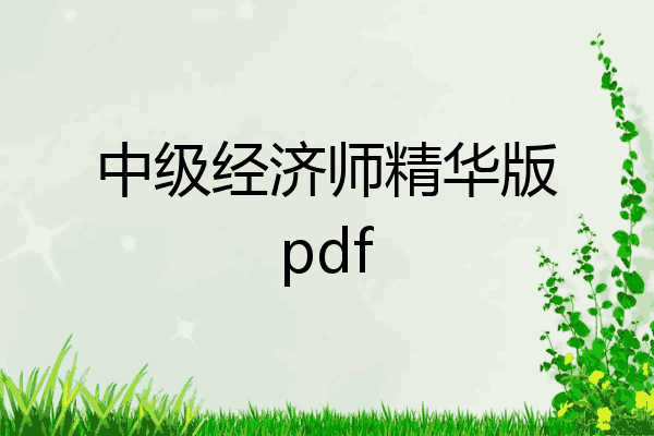 中级经济师精华版pdf