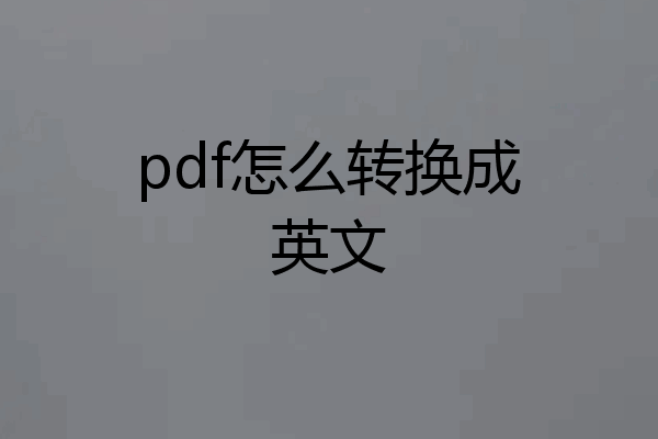 pdf怎么转换成英文