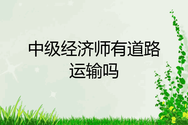 中级经济师有道路运输吗