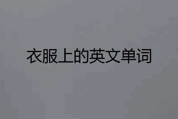 衣服上的英文单词