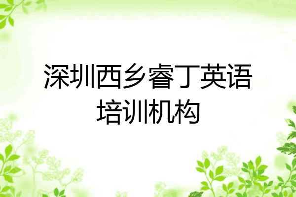 深圳西乡睿丁英语培训机构
