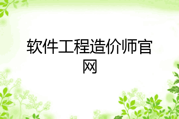 软件工程造价师官网