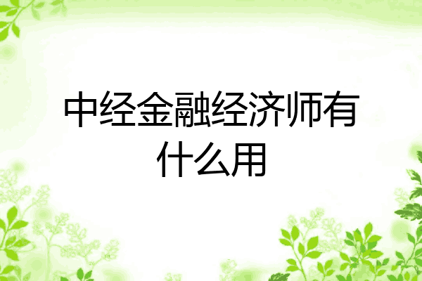 中经金融经济师有什么用