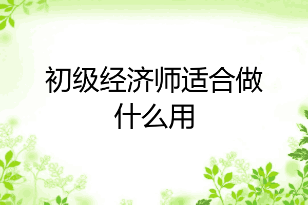 初级经济师适合做什么用