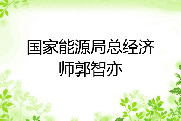 国家能源局总经济师郭智亦