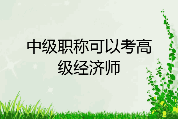 中级职称可以考高级经济师