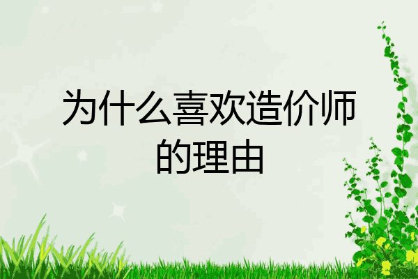 为什么喜欢造价师的理由