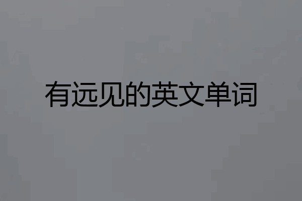 有远见的英文单词