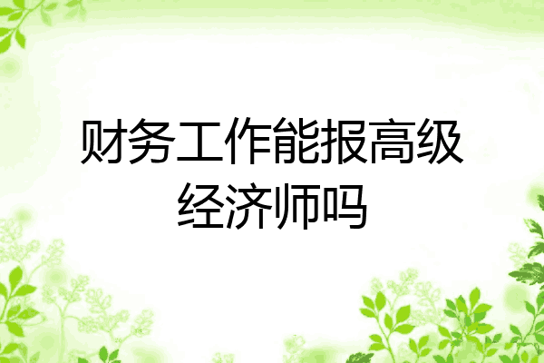 财务工作能报高级经济师吗
